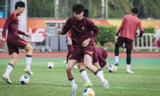 开云体育-国内球员进步明显，实力有所提升