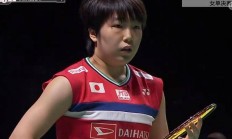 开云体育APP下载-日本队横扫泰国队，戴资颖刷新纪录的简单介绍