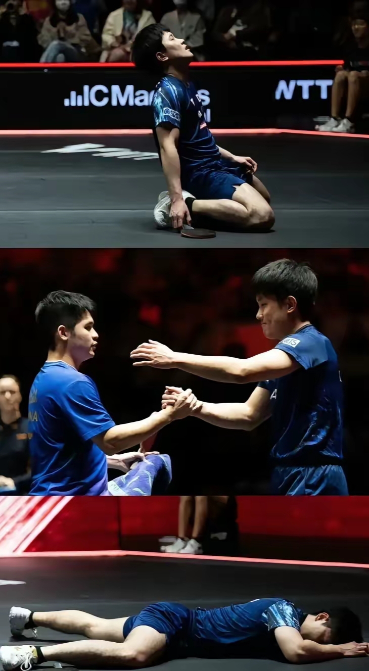 包含德国队翻盘韩国队，张本智和高光表现的词条