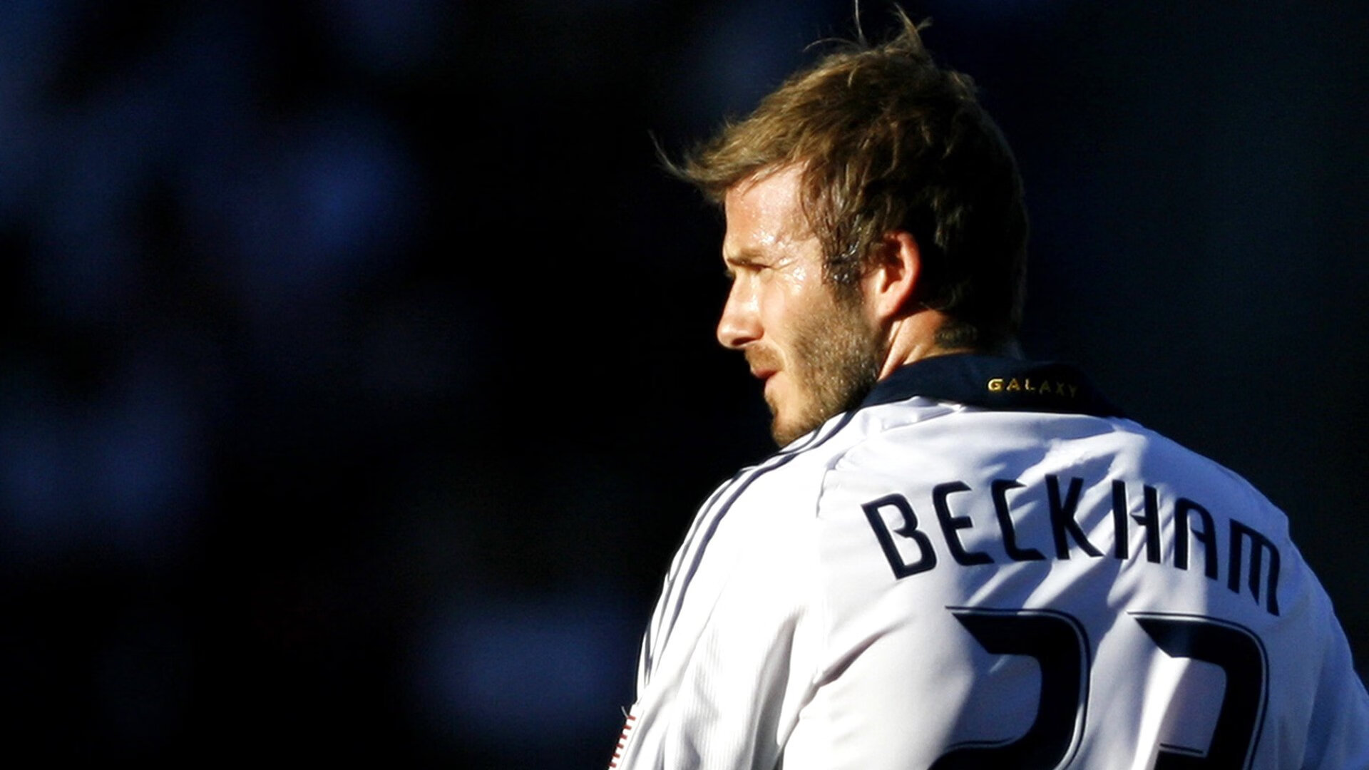 风雪退散时，灰熊在长白山下完成最后一次收割