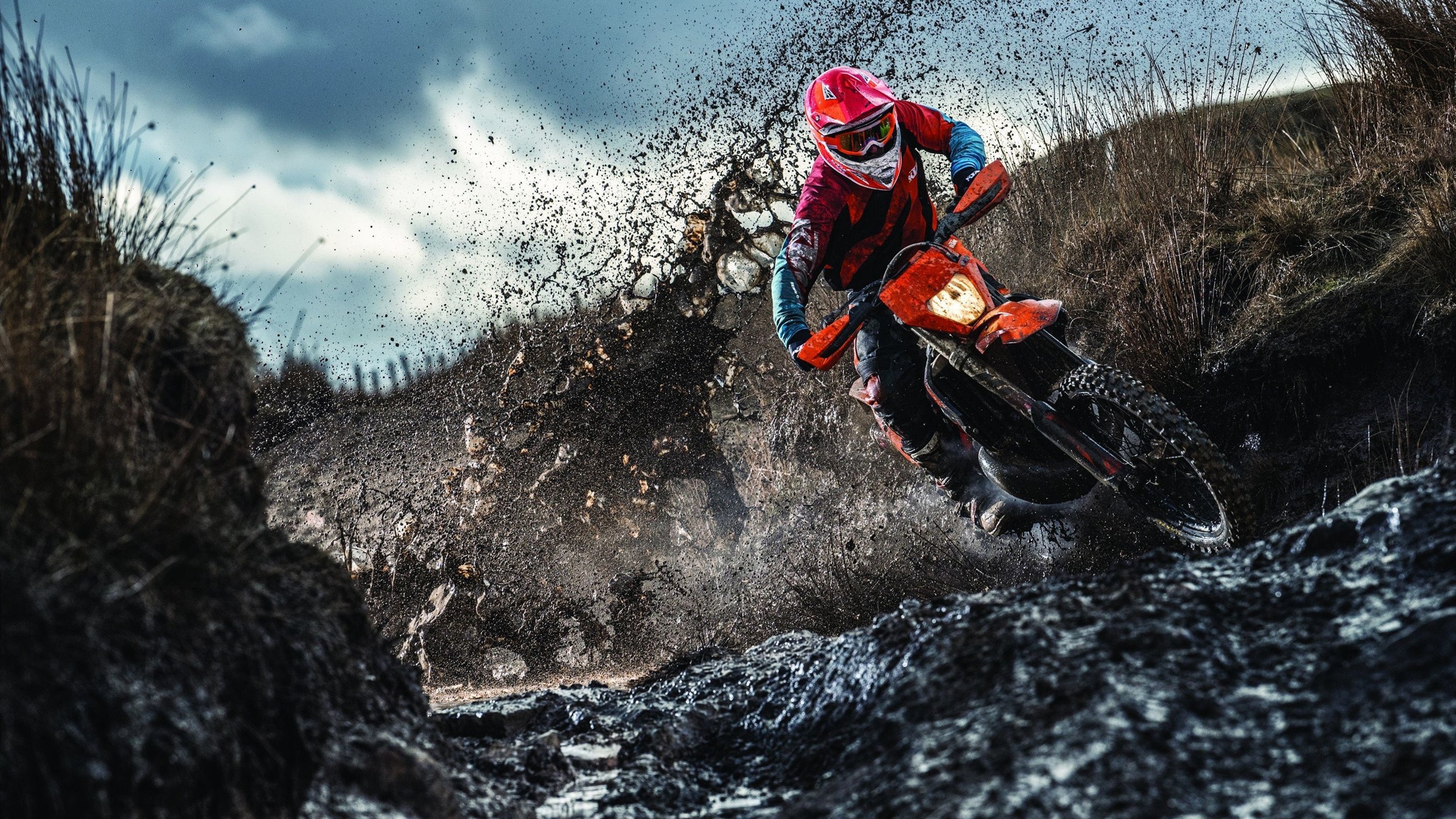 钢铁脊梁，雄鹿的胜利故事写在西亚卡姆背上